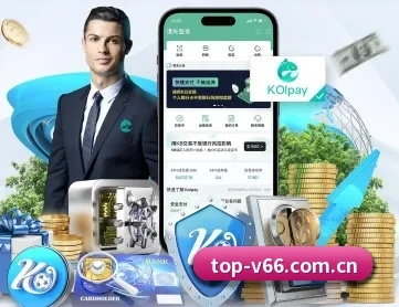 V66体育 APP